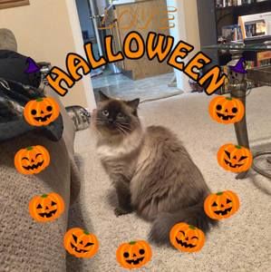 Meet your Posher, Robert